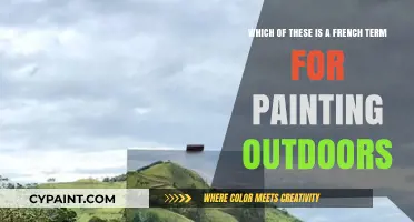 Exploring the Beauty of Plein Air: A French Term for Painting Outdoors