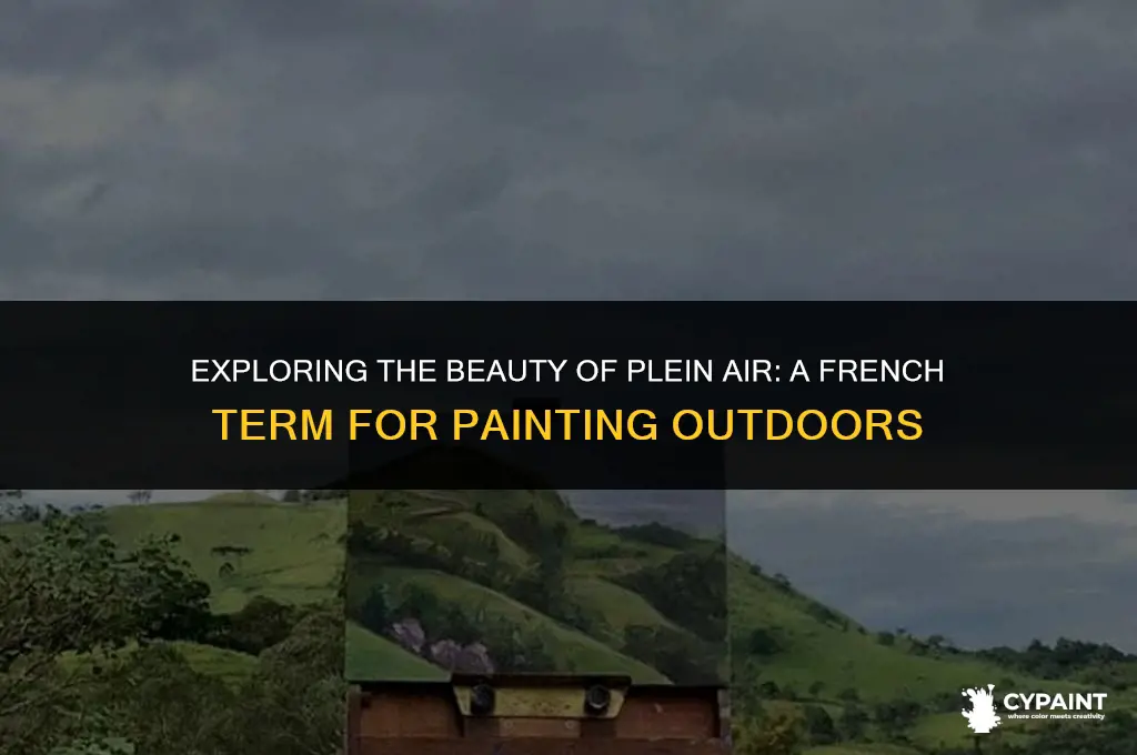 which of these is a french term for painting outdoors