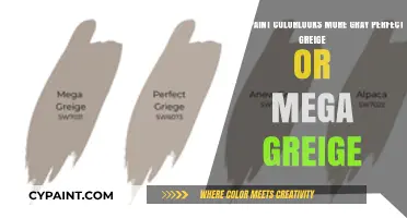 Choosing the Perfect Gray: Greige vs. Mega Greige Paint Colors