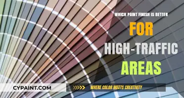 Best Paint Finishes for Durability in High-Traffic Areas: A Guide