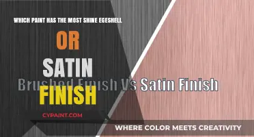 Unveiling the Secrets: Eggshell vs Satin Finish - Which Paint Shines Brightest?