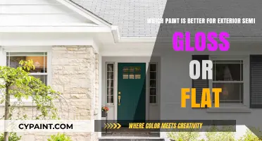 Choosing the Right Exterior Paint: Semi-Gloss vs. Flat Finish