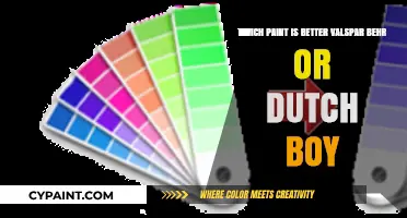 Valspar vs. Behr vs. Dutch Boy: Which Paint Reigns Supreme?