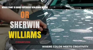 Comparing Costs: Benjamin Moore vs. Sherwin-Williams Paint