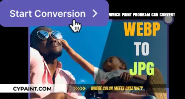 Effortlessly Convert WebP to JPG: Top Paint Programs Revealed