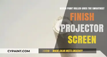 Best Paint Roller for a Seamless Projector Screen Finish