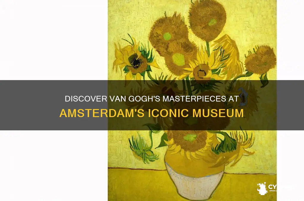 which paintings are in the amsterdam van gogh museum
