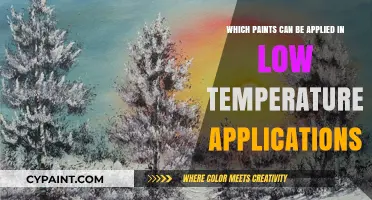 Best Paints for Cold Weather: Low Temperature Application Solutions