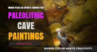 Discovering Spain's Ancient Art: A Guide to Paleolithic Cave Paintings