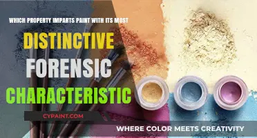 Forensic Paint Analysis: Unveiling the Key Property Behind Unique Characteristics