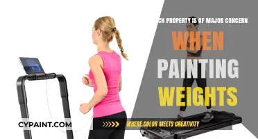 Painting Weights: Key Property Concerns for Durability and Performance