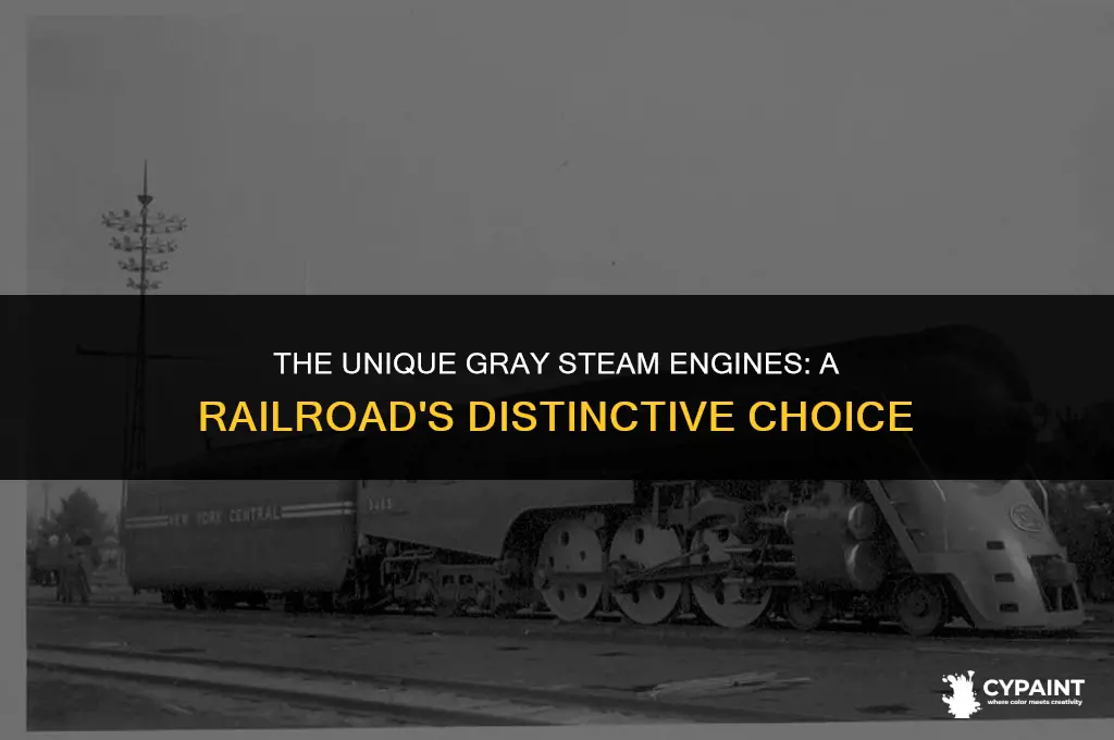 which railroad painted the front of their steam engines grey