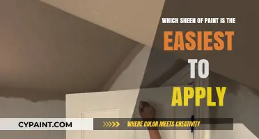 Choosing the Right Sheen: Simplifying Your Paint Application Process