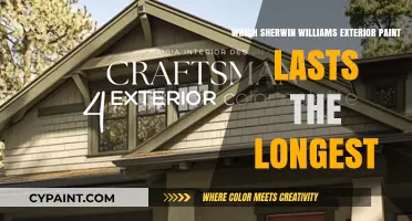 Longest-Lasting Sherwin Williams Exterior Paint: Top Durable Options Revealed