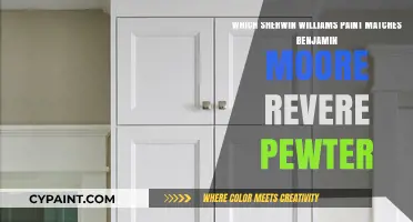 Sherwin-Williams Paint Alternatives to Benjamin Moore Revere Pewter