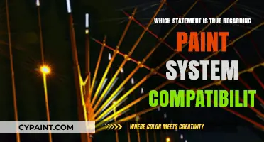 Understanding Paint System Compatibility: Key Factors for Successful Application