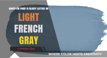 Exploring the Bluest Shades: Lattice vs Light French Gray SW Paints