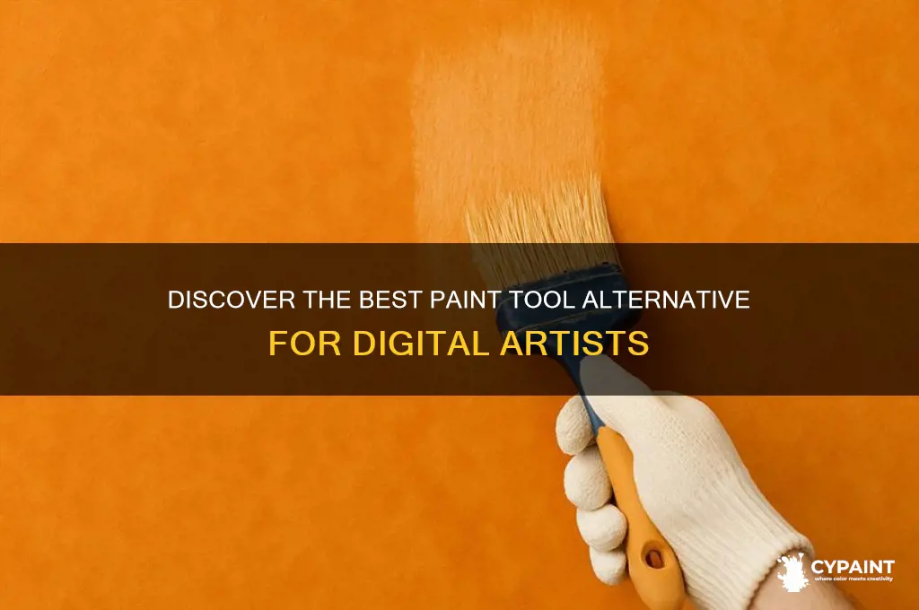 which tool is quite similar to the paint tool