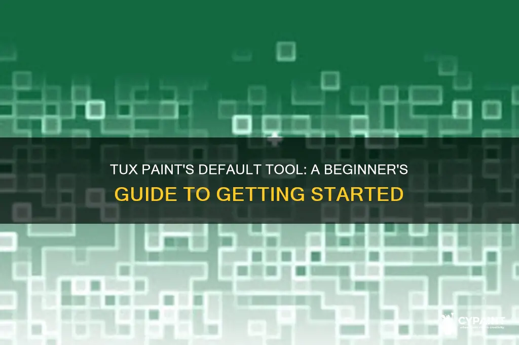 which tool is selected by default in tux paint