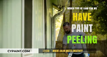 Paint Peeling? Discover the Best Loan Options for Home Repairs