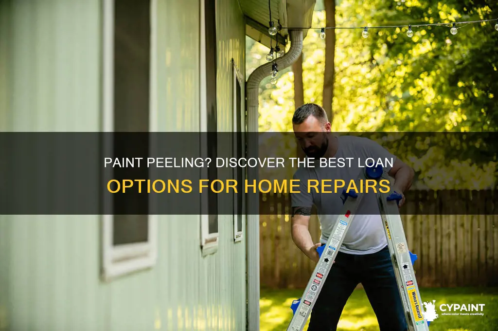 which type of loan can we have paint peeling
