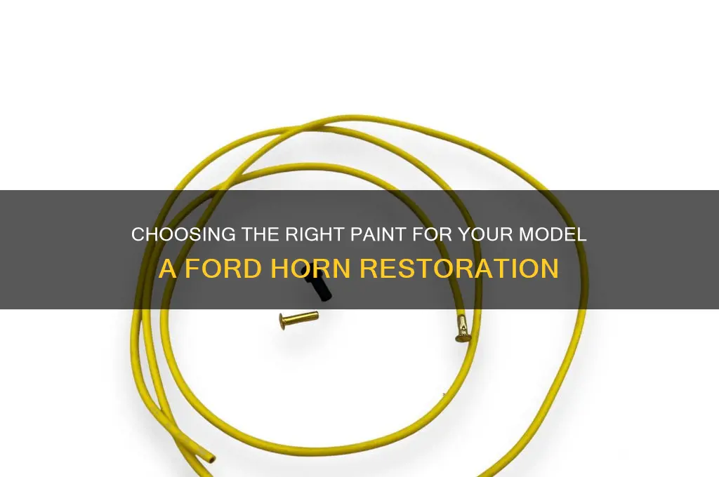which type of paint for model a ford horn