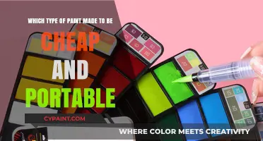 Exploring Affordable and Portable Paint Options for Artists on the Go