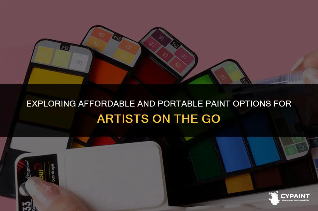 which type of paint made to be cheap and portable