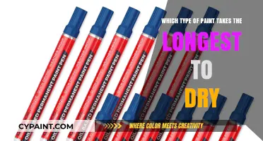 Oil-Based vs. Latex: Which Paint Dries the Slowest?