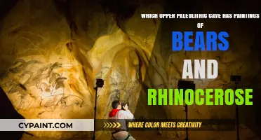 Exploring Chauvet Cave: Ancient Paintings of Bears and Rhinoceroses