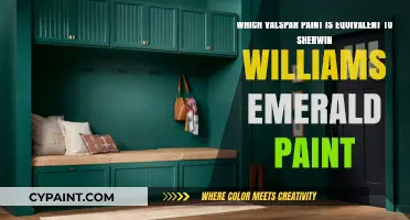 Unveiling the Perfect Valspar Match for Sherwin-Williams Emerald Paint