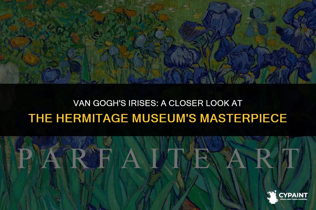 which van gogh iris painting is in the hermitage museum