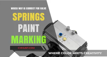 Valve Springs Paint Marking: Decoding the Correct Direction for Optimal Performance