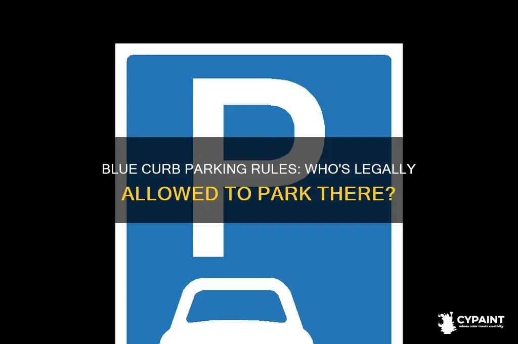 who can legally park next to a curb painted blue