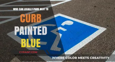 Parking Laws: Blue Curbs and You