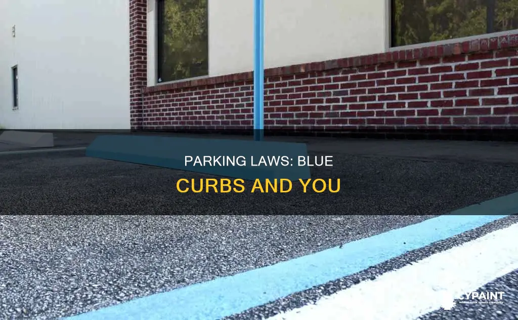 who can legally park next to curb painted blue