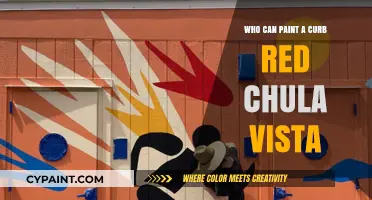 Chula Vista's Red Curb Painters: Who's Qualified for the Job?