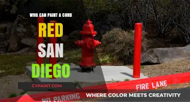 San Diego's Red Curb Revolution: Who's Behind the Color?