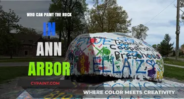 Exploring the Art Scene: Who Can Paint the Rock in Ann Arbor?