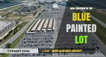 Blue Lot Parking: Unraveling the Mystery of Who Can Park There