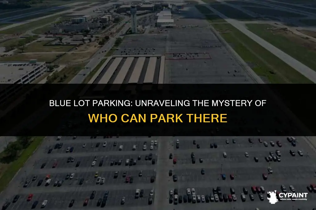 who can park in the blue painted lot