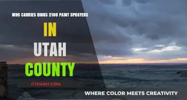 Where to Find Binks 2100 Paint Sprayers in Utah County