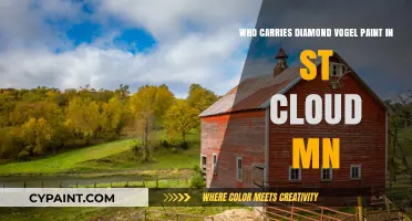 Where to Find Diamond Vogel Paint in St. Cloud, MN