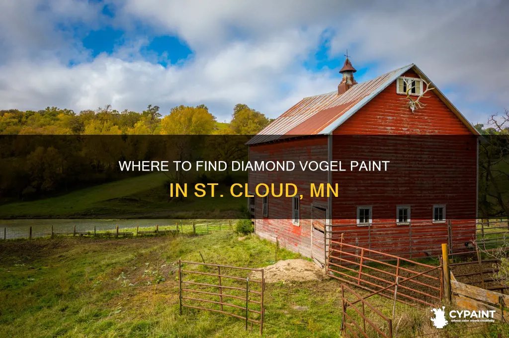who carries diamond vogel paint in st cloud mn