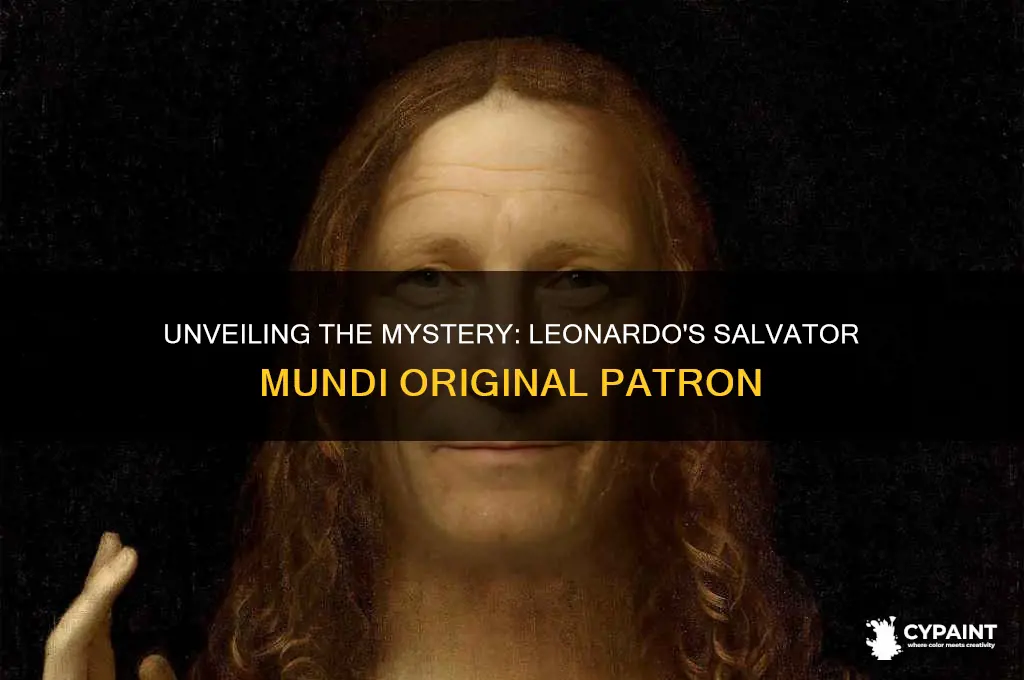 who did leonardo initially paint the salvator mundi for
