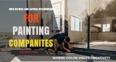 Mac and Gaydos' Top Painting Company Recommendations for Your Home