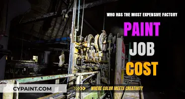 The World's Priciest Factory Paint Job: Unveiling the Costly Masterpiece