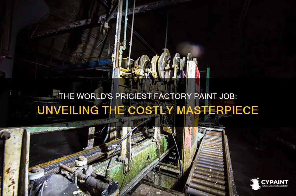 who has the most expensive factory paint job cost