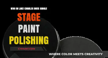 Lake Charles Experts for Single-Stage Paint Polishing Services
