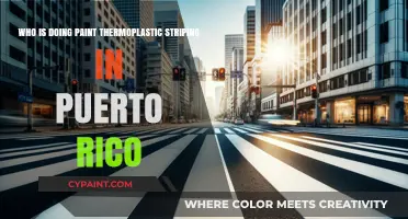 Discover Puerto Rico's Top Thermoplastic Striping Contractors and Services